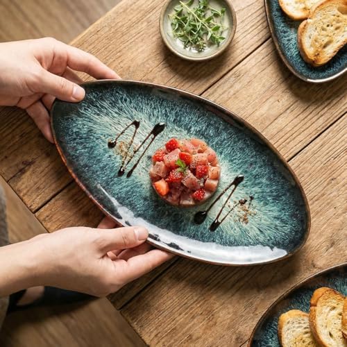 Ceramic Dinner Plates Set of 4, for Bread, Pasta, Salad, sushi