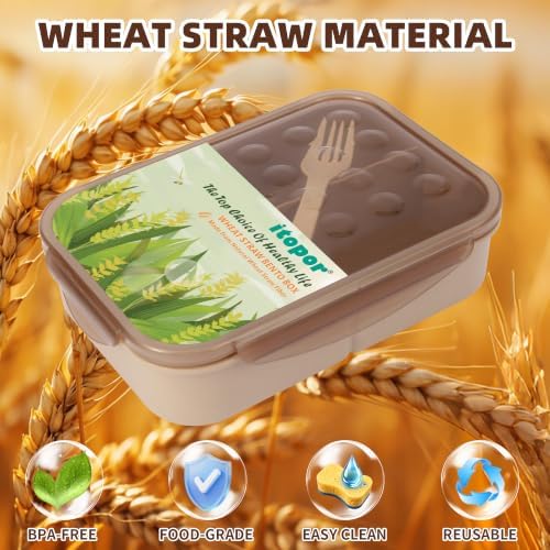 Itopor Bento Lunch Box for Kids & Adults, 1350ml, 3 Compartments