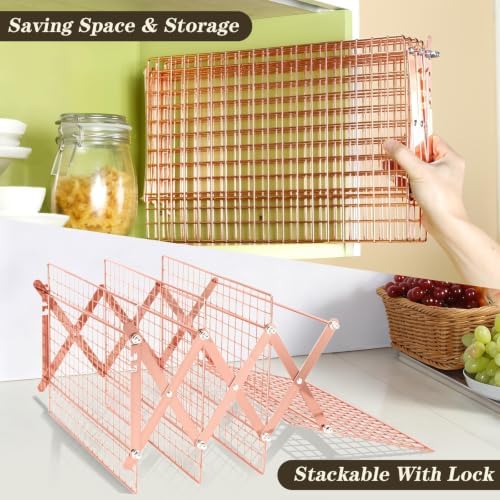 Pleafind 4 Tier Rose Gold Collapsible Cooling Rack - 3 Setting Design