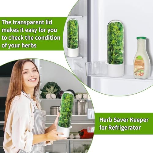 Herb Saver for Refrigerator, Cilantro Container