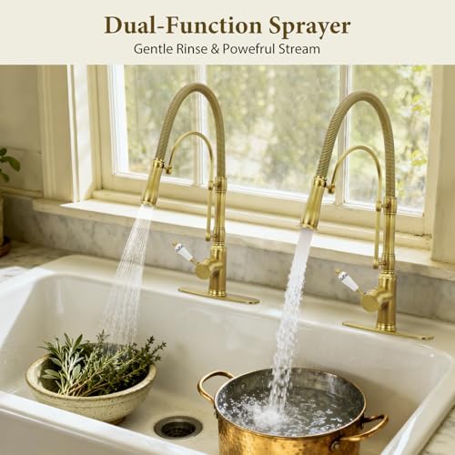 Brass Pull-Down Kitchen Faucet, Brushed Gold