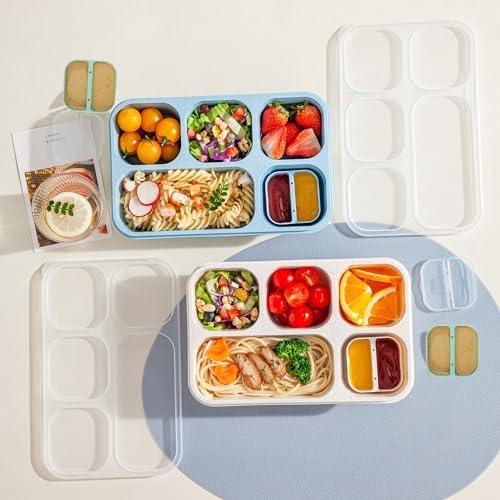 TOUWMX 4 Pack Bento Box, 5 Compartments