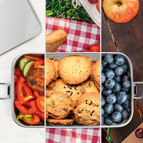 Leonyo 47oz Metal Lunch Box Bento Box Stainless Steel with 2 Dividers