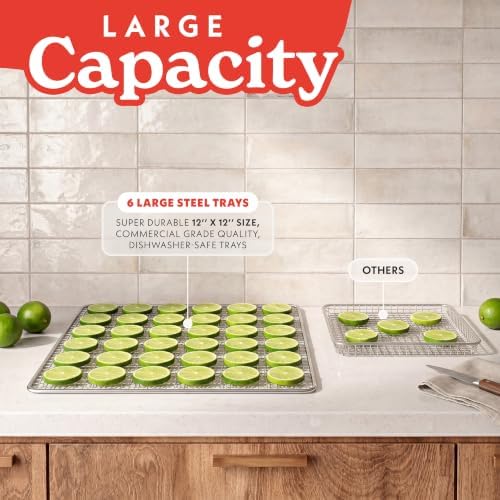 Gourmia 6-Tray Stainless Steel Food Dehydrator