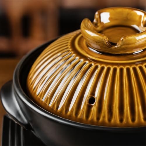 Okllen Large Korean Ceramic Bowl with Lid and Platter, 54 oz Clay Pot