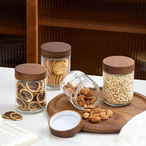 Danmu 16 oz Overnight Oats Containers with Lids, 4 Pack