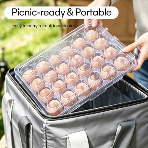 24-Grid Egg Holder, Clear Refrigerator Container