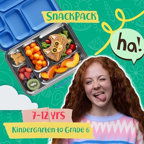 AOHEA Stainless Steel Bento Box Kids, Kids Metal Bento Lunch Box BPA