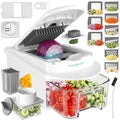 HAUSHOF All-in-1 Vegetable Chopper and Mandoline Slicer,13 Blades