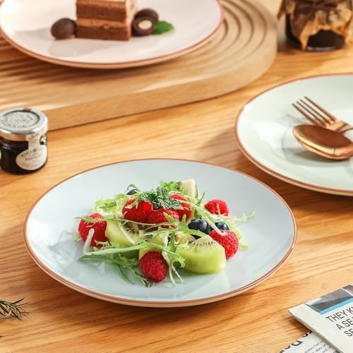 Dessert Plate Ceramic Set of 6, Colorful 8 Inch Salad Plates for