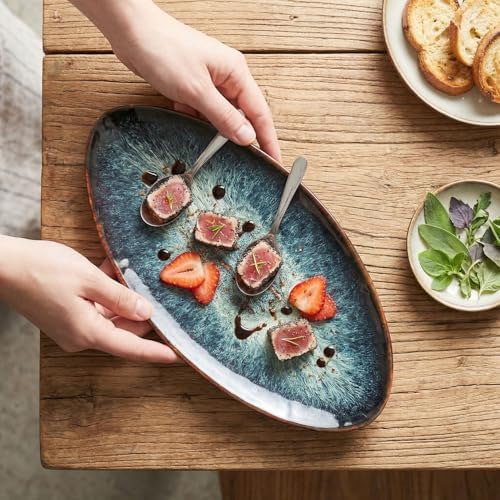Ceramic Dinner Plates Set of 4, for Bread, Pasta, Salad, sushi