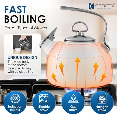 Chantal Enamel On Steel Classic Teakettle (Fade Grey)