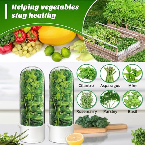 Herb Saver for Refrigerator, Cilantro Container