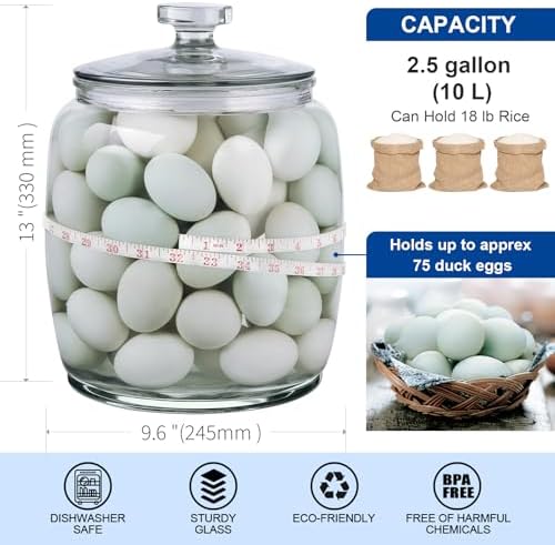 Daitouge 2.5 Gallon Glass Jars with Lids, Wide Opening Large Jar