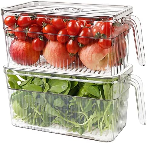 2 Pack Produce Storage Containers for Fridge, 10'' x 5.3'' x 5.2''