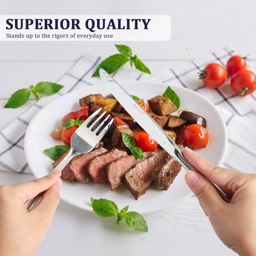 18/10 Silverware Set for 4, 20 Piece Stainless Steel Cutlery Set