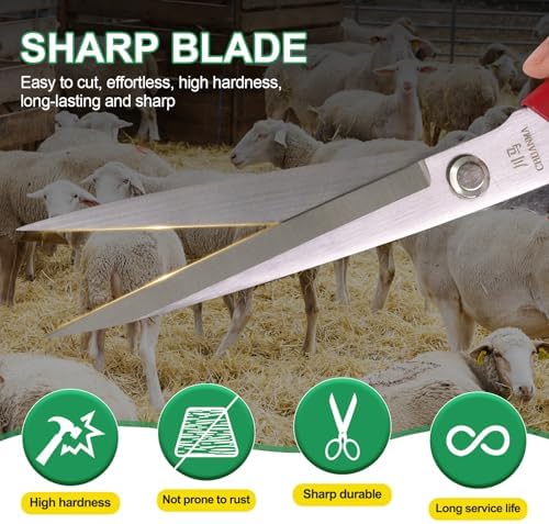 Manual Wool Shearing Shear Stainless Steel Trimming Scissor Long
