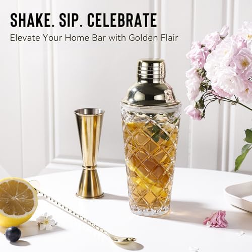 Glass Cocktail Shaker Set with Built-in Strainer – 16oz Thickened