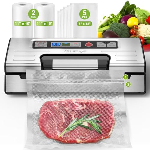 Gasbye 95kPa Precision Vacuum Sealer, Silver