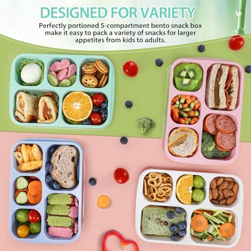 Caperci Wheat Straw Bento Snack Box Containers for Adults & Kids