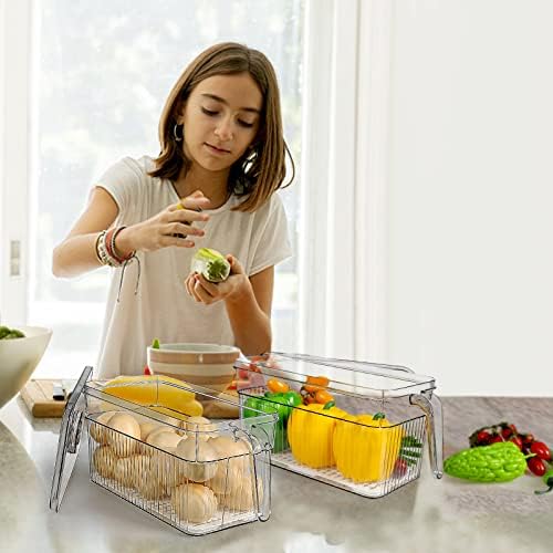 2 Pack Produce Storage Containers for Fridge, 10'' x 5.3'' x 5.2''