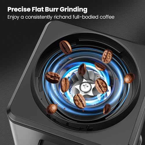 Home Coffee Grinder, Conical Burr, Stainless Steel