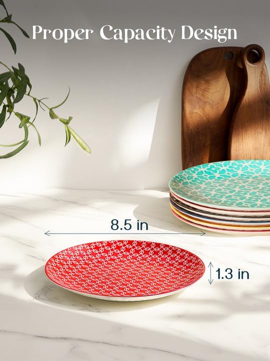 DOWAN 8.5" Salad Plates Set of 6, Ceramic Dessert Plate for Appetizer