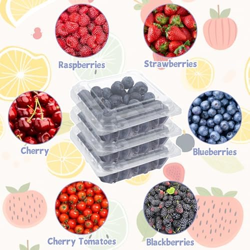 100PCS Berry Containers with Lids, Clear Plastic Vented Berry