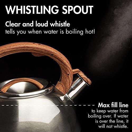 Primula Avalon 2.5-Quart Stainless Steel Whistling Kettle
