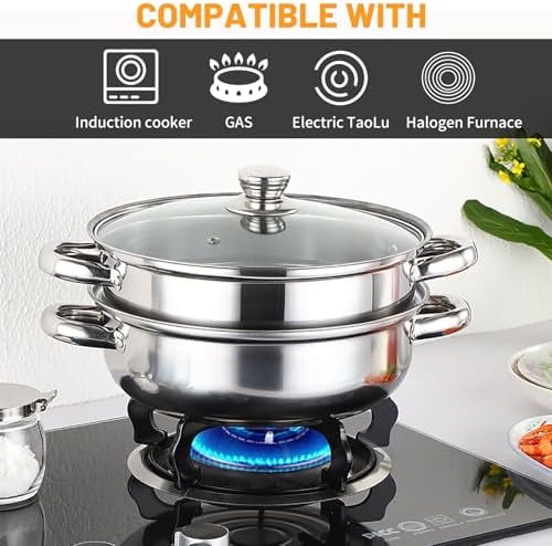 2-Tier 28cm 304 Stainless Steel Steamer Pot with Glass Lid,for Dumplings, Seafood, Veggie Stews & Homemade Soups