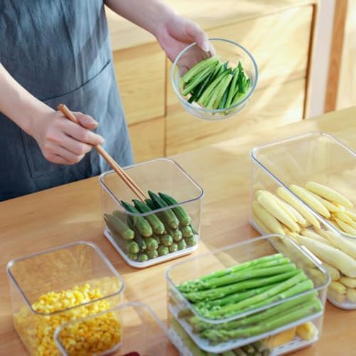 Luxshiny Refrigerator Storage Box Fruit Vegetable Container 1pc Bottom