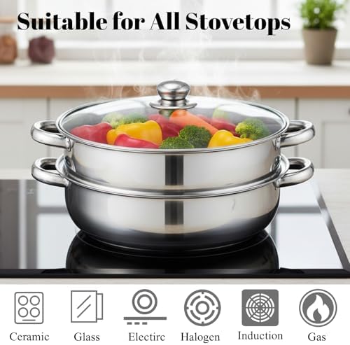 ZENFUN Steamer Pot With Lid 2 Tier, Multipurpose Stainless Steel Steaming Pot, Steam Pots With Handle For Vegetable, Dumpling, Food, 11 Inch（Thickened）