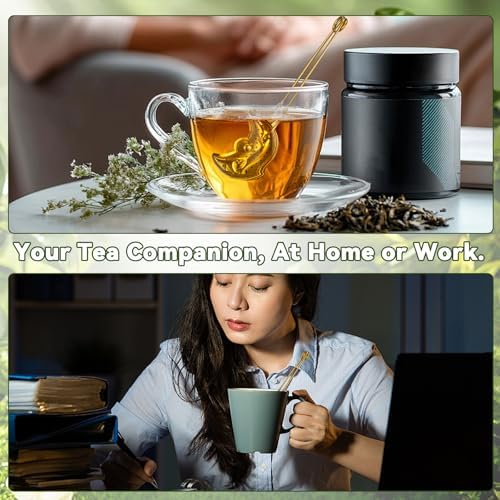 NUOBESTY 4Pcs Tea Infuser Set, Stainless Steel Star Moon Shape Tea