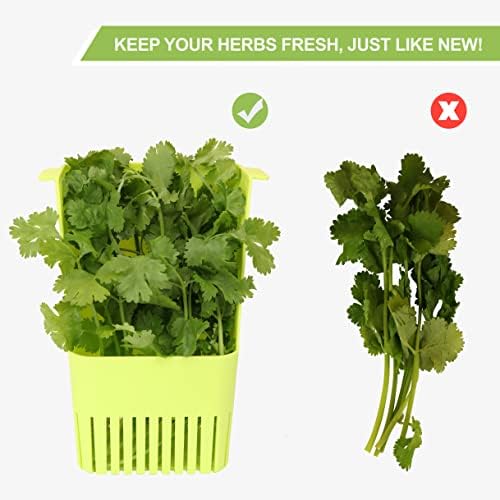 LUVCOSY Fresh Herb Keeper for Refrigerator, Clear BPA-Free
