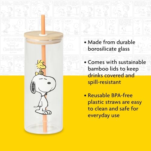 Peanuts Snoopy Happy Sips 4 Piece 23 OZ Tumbler Set with 4 Bamboo Lids