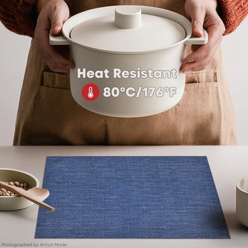 Artoid Mode Navy Blue Vinyl Placemats Set of 4, Washable Heat
