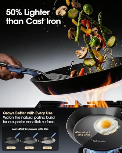 10 Inch Carbon Steel Frying Pan, Nitrided Preseasoned Skillet