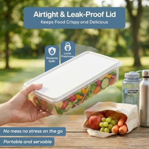 SIGNORA WARE 4.5L Plastic Containers with Lids, Set of 2