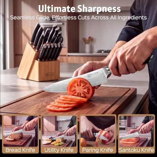 PAUDIN 17-Piece Kitchen Knife Set with Block