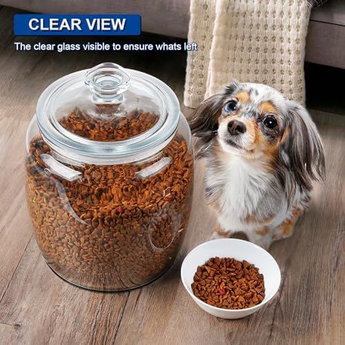 Daitouge 2.5 Gallon Glass Jars with Lids, Wide Opening Large Jar