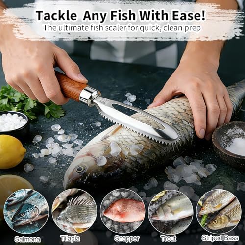 Stainless Steel Fish Scaler with Wooden Handle
