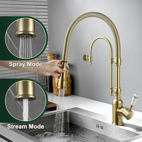 2-in-1 High Arc Pull-Down Swivel Kitchen Faucet, Brushed Gold