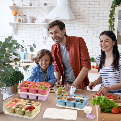 Caperci Large Bento Lunch Boxes for Adults & Kids