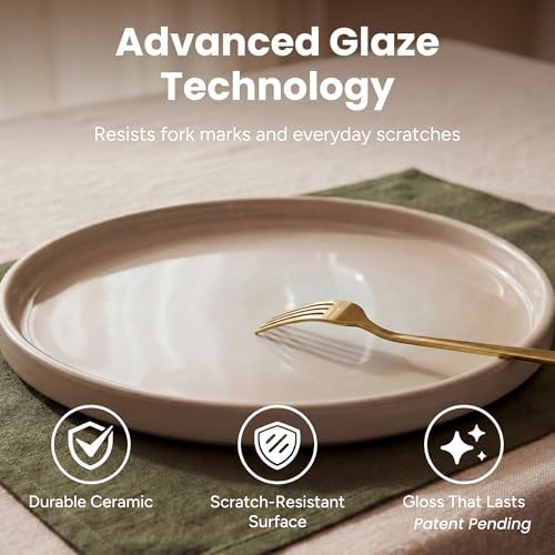 SMIRLY Stoneware Dinnerware Set for 4, 12 pcs Plates and Bowls Set