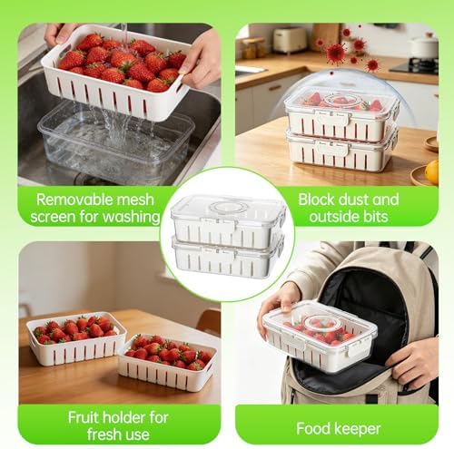 2 Pack Strawberry Containers with Handle and Mesh Screen