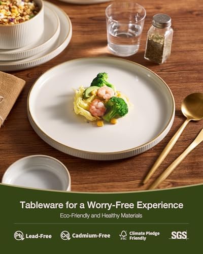 Famiware Stoneware Dinnerware Set with Mugs, Plates and Bowls, Dishes for 6