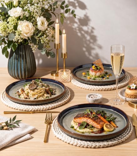 theterra Ceramic Dinner Plates Set of 2, 10.25 Inch Dinnerware Plates