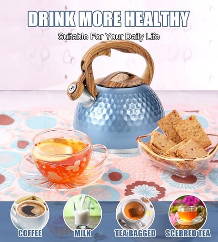 3.2Qt Stainless Steel Whistling Tea Kettle, Blue