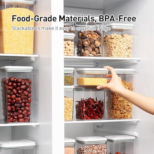 2.9Qt 2Pcs Airtight Food Storage Containers with Lids