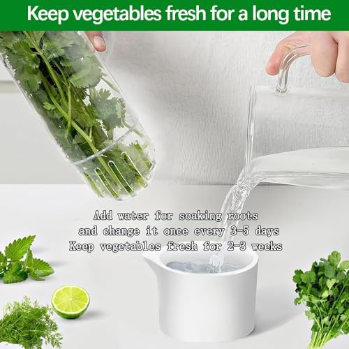 2 Pack Herb Keeper for Refrigerator, Clear BPA-Free